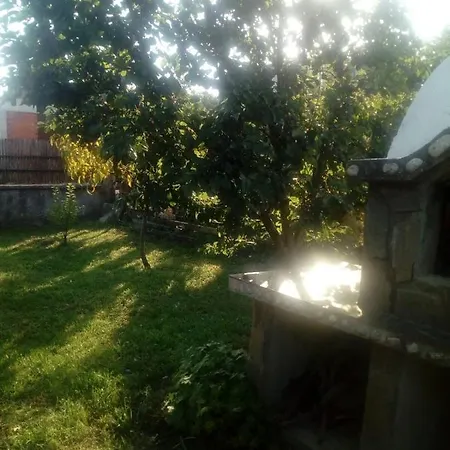ягода Pensión *