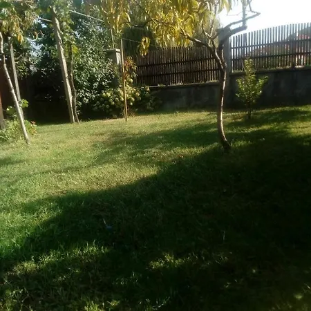 ягода *