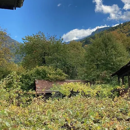 Гостевой дом ягода *