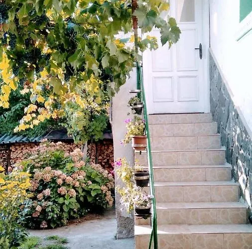 ягода Penzion *