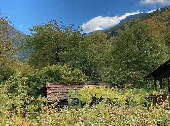 Penzion ягода *